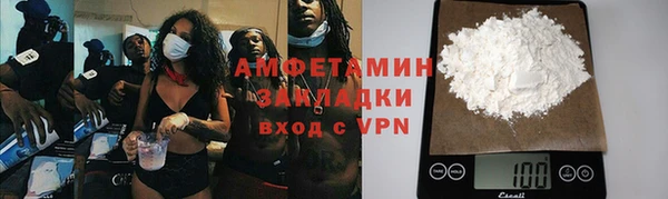 шишки Грязовец