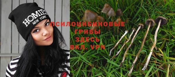 эйфоретик Краснотурьинск