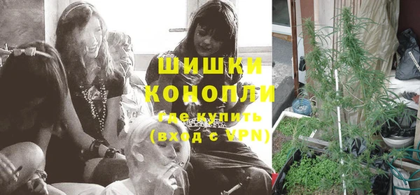 бошки Краснослободск
