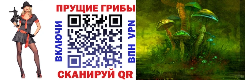 Галлюциногенные грибы Cubensis Котельнич